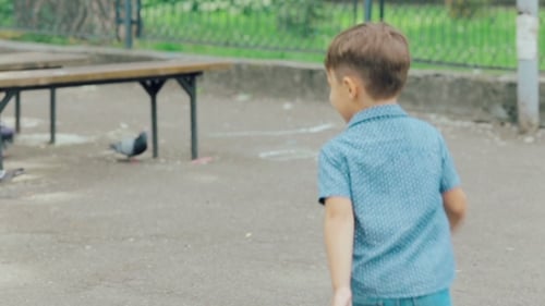 Happy Little Boy Runs in the Park