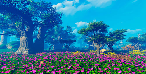 Trees And Plants In The Forest