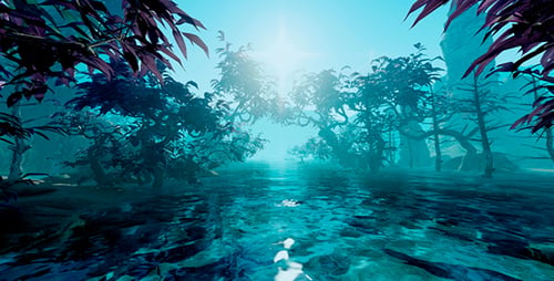 Plantes et eau
