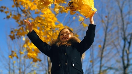 Smiling Girl Tossing Golden Leaves in Autumn