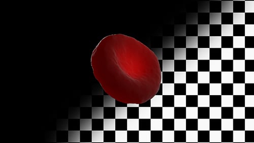 Blood Cell