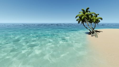 Tropical Island with Palms in Turqouse Sea