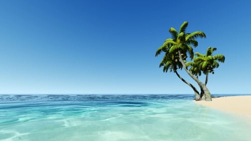 Tropical Island with Palms in Turqouse Sea