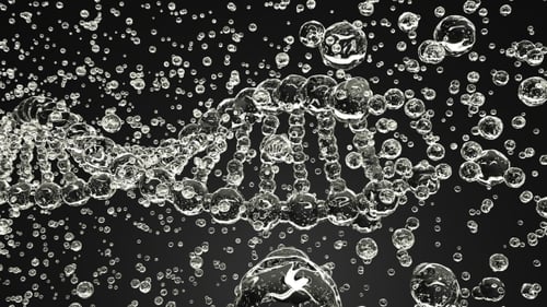 Animated DNA Helix Structure with Clear Bubbles