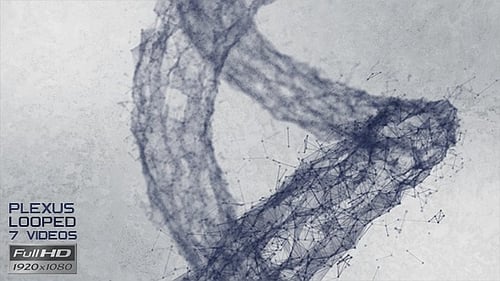 Abstract Plexus Network Dynamic Data Connections