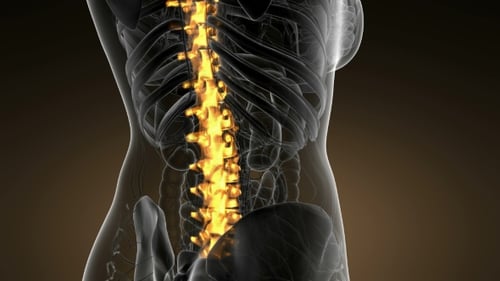 Futuristic Medical Scan of Glowing Human Spine Anatomy