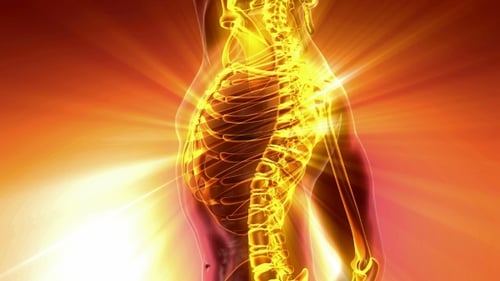 Human Body with Visible Skeletal Bones