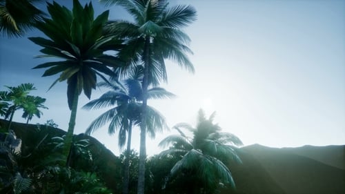 Tropical Paradise Landscape with Palm Trees and Mountains at Sunrise