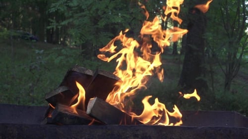 Burning Fire Pit with Logs in Nature
