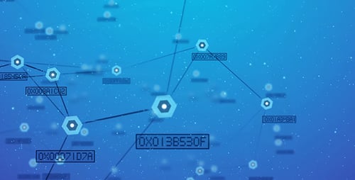 Information Network 2