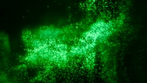 Fond Magique Vert