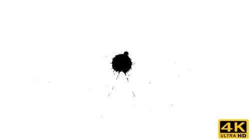 Ink Drop on Dry Paper 12