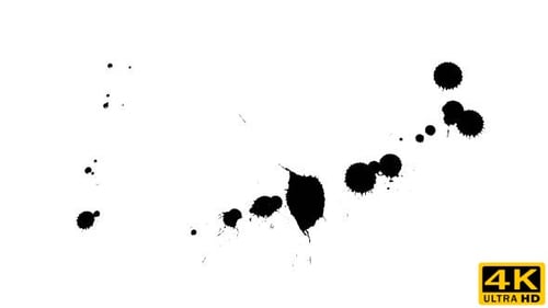 Ink Drop on Dry Paper 30