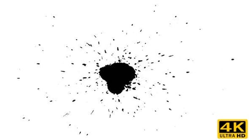 Black Ink Splatter on White Background