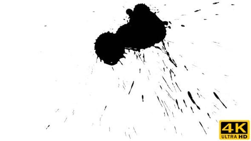Black Ink Splatter on White Background