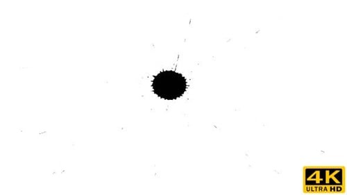 Ink Drop on Dry Paper 01