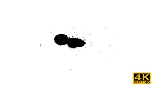 Ink Drop on Dry Paper 06