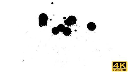 Ink Drops on Dry Paper 09
