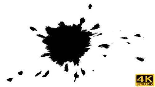 Ink Drops on Wet Paper 14