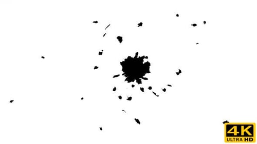 Ink Drops on Wet Paper 03