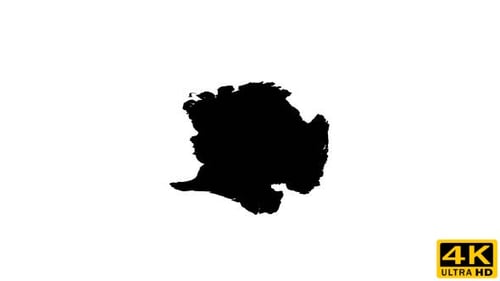 Abstract Black Ink Spreading on White Surface