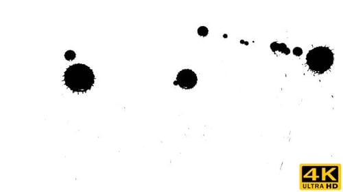 Ink Drops on Dry Paper 08
