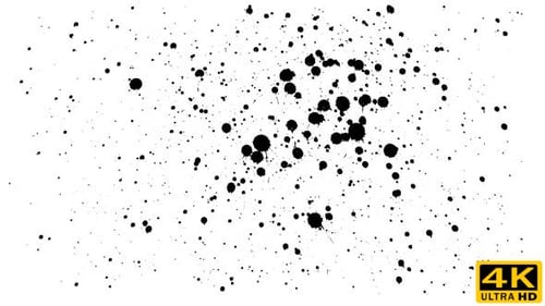 Black Ink Splatters on White Background