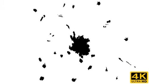 Ink Splatter Animation on White Background