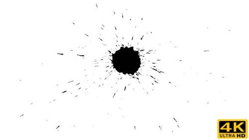Black Ink Splat on White Background