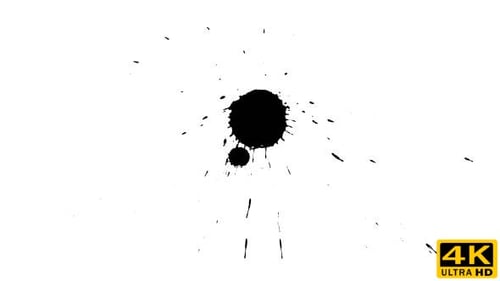 Ink Drop on Dry Paper 18