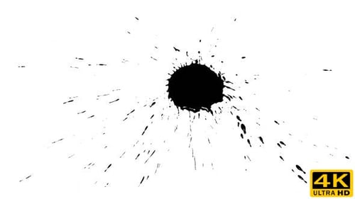 Ink Drop on Dry Paper 15