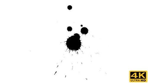 Exploding Black Ink Spot on a White Background