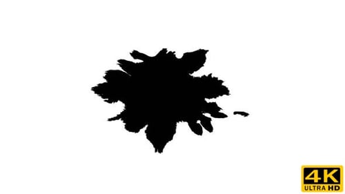 Animated Ink Splash Graphic on White Background