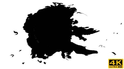Dramatic Black Ink Splash on White Background