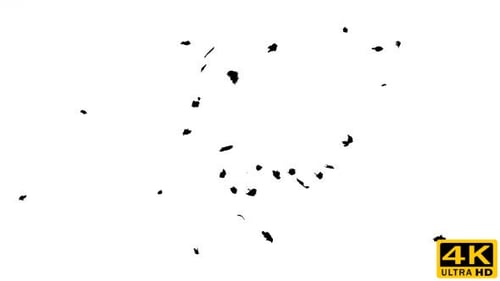 Ink Drops on Wet Paper 04