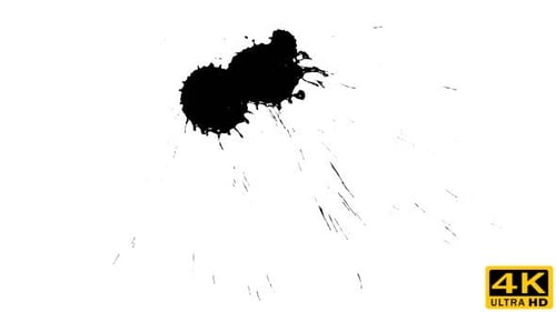 Black Ink Splatter on White Background