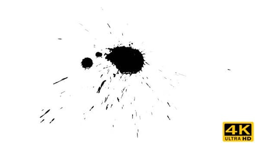 Black Ink Splash on White Background Animation