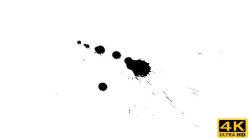 Ink Drop on Dry Paper 22