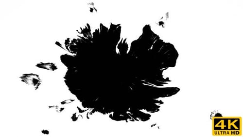 Abstract Black Ink Splatter on White Background