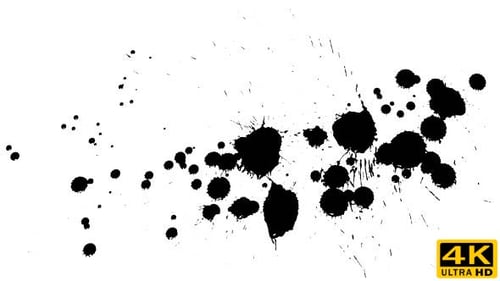 Ink Drops on Dry Paper 24