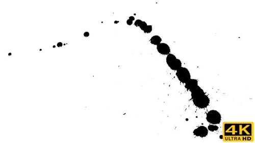 Ink Drop on Dry Paper 25