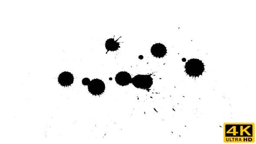 Ink Drops on Dry Paper 07