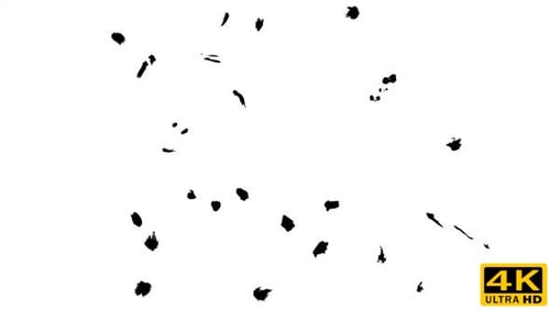 Ink Drops on Wet Paper 06