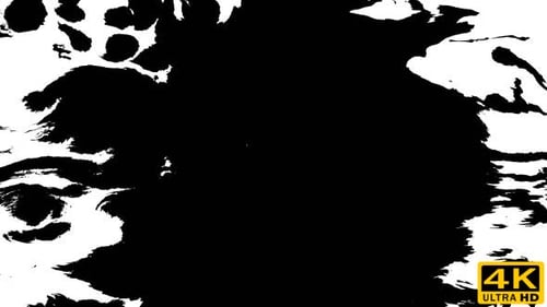 Many Ink Drops on Wet Paper 04