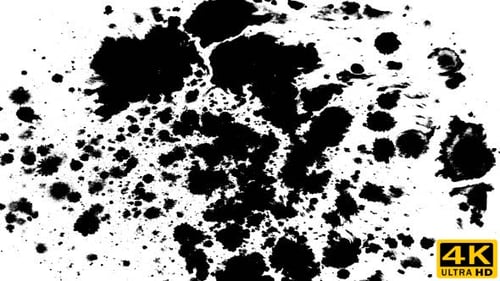 Abstract White Background with Black Ink Splatters