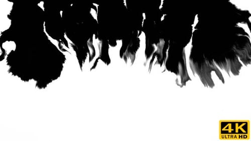 Ink Flowing From Top To Bottom on Wet Paper 03