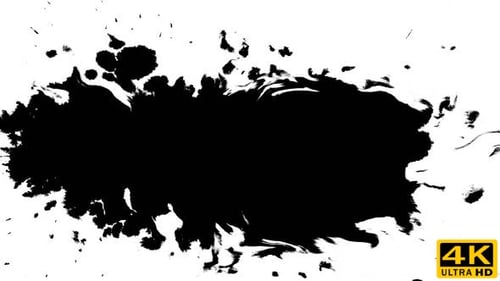 Several Ink Drops From Right To Left on Wet Paper 05