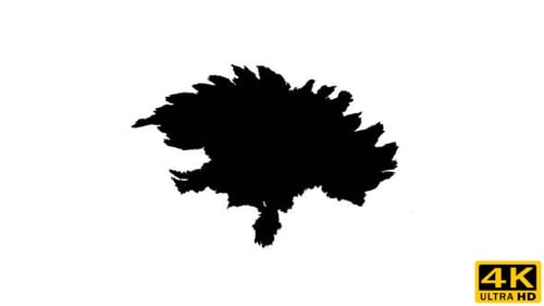 Black Ink Blot Spreading on White Background