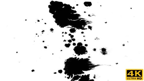Black Ink Splashes Creating Abstract Patterns