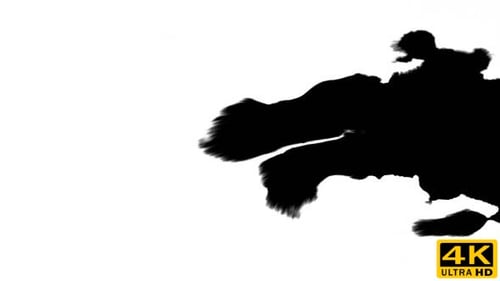 Black Ink Spreads on White Abstract Background